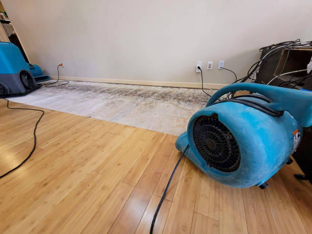 Professional Basement Flood Cleanup technician working in Firebaugh, CA